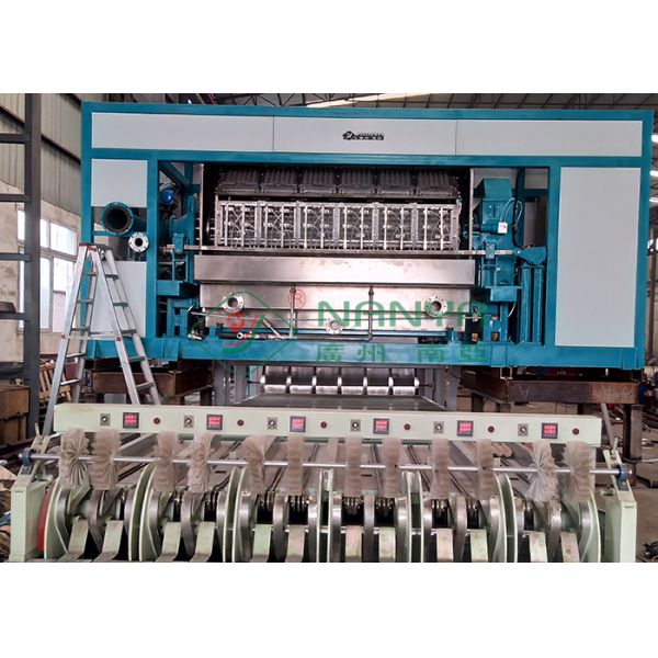 Guaranteed Automatic Waste Paper Egg Tray Making Machinery 3000~6000 Pcs/H