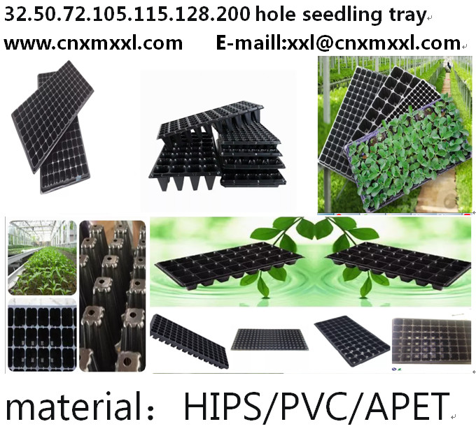 72 Cells Nursery Tray Plastic Seedling Tray Mango Plant Strawberry Seedling Trays