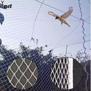 Agricultural Bird Prevention Netting 5m - 1000m Knitted Bird Netting