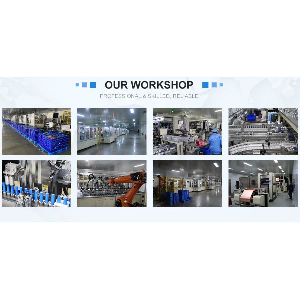 Professional battery manufacturing team