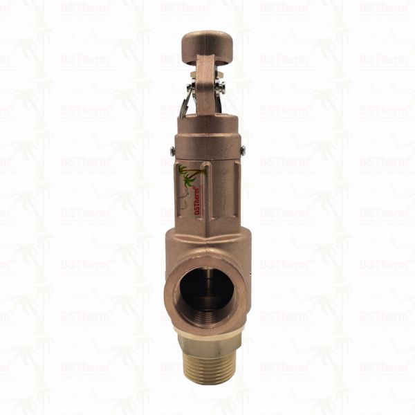 Brass Safety Valve 1/2"-2" Pipeline System Overpressure Protection Device Customized LOGO