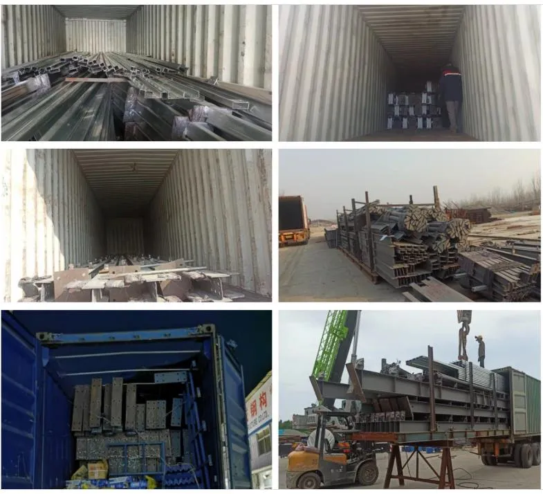 Hot DIP Galvanizing Light Metal Frame Prefab Farm Animal Poultry Shed