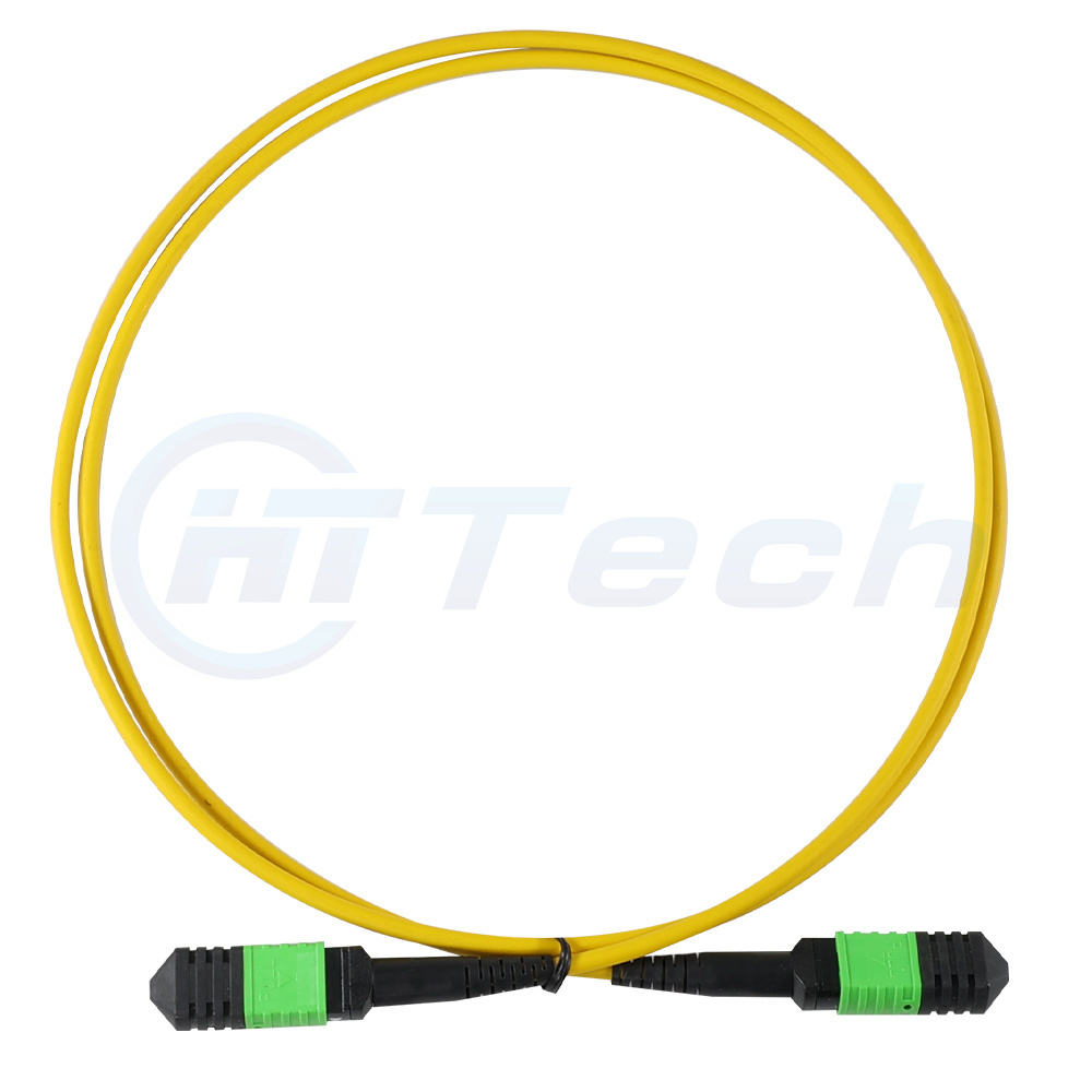 Quality Singlemode MPO-MPO Patch Cable Low Insert Loss LSZH Jacket for sale
