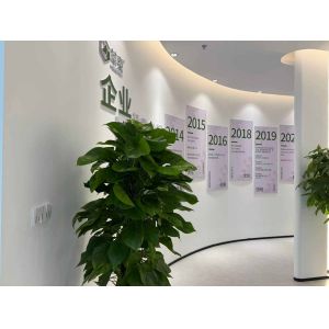 Shenzhen Guptomes Group Co., Ltd.