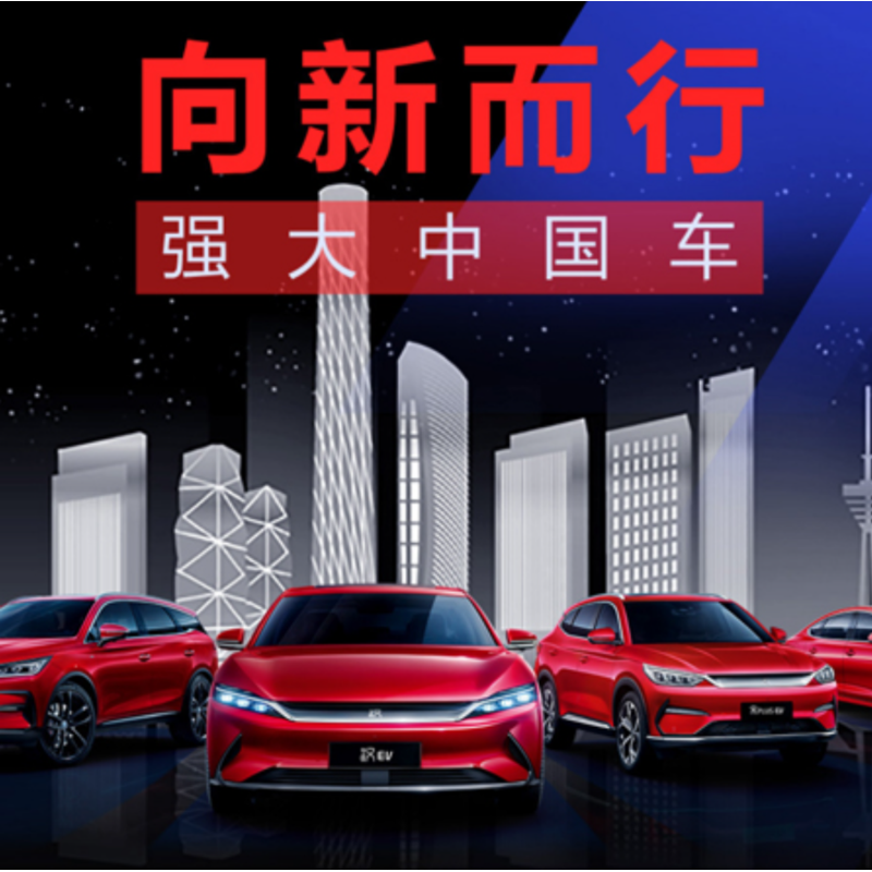 BYD 2025 Dolphin 520km Knight Edition EV