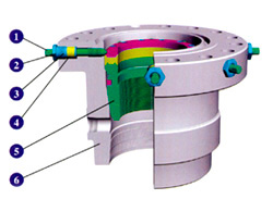 Casing head Assembly