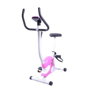 Quality Adjustable Seat Foldable Spinning Bike For Exercising Home Use for sale
