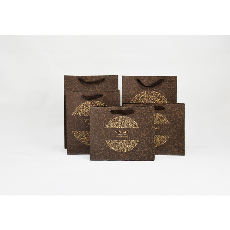 Eco Friendly Paper Twist Handle Bags 250g 300g Weight Customized Color Simple Design