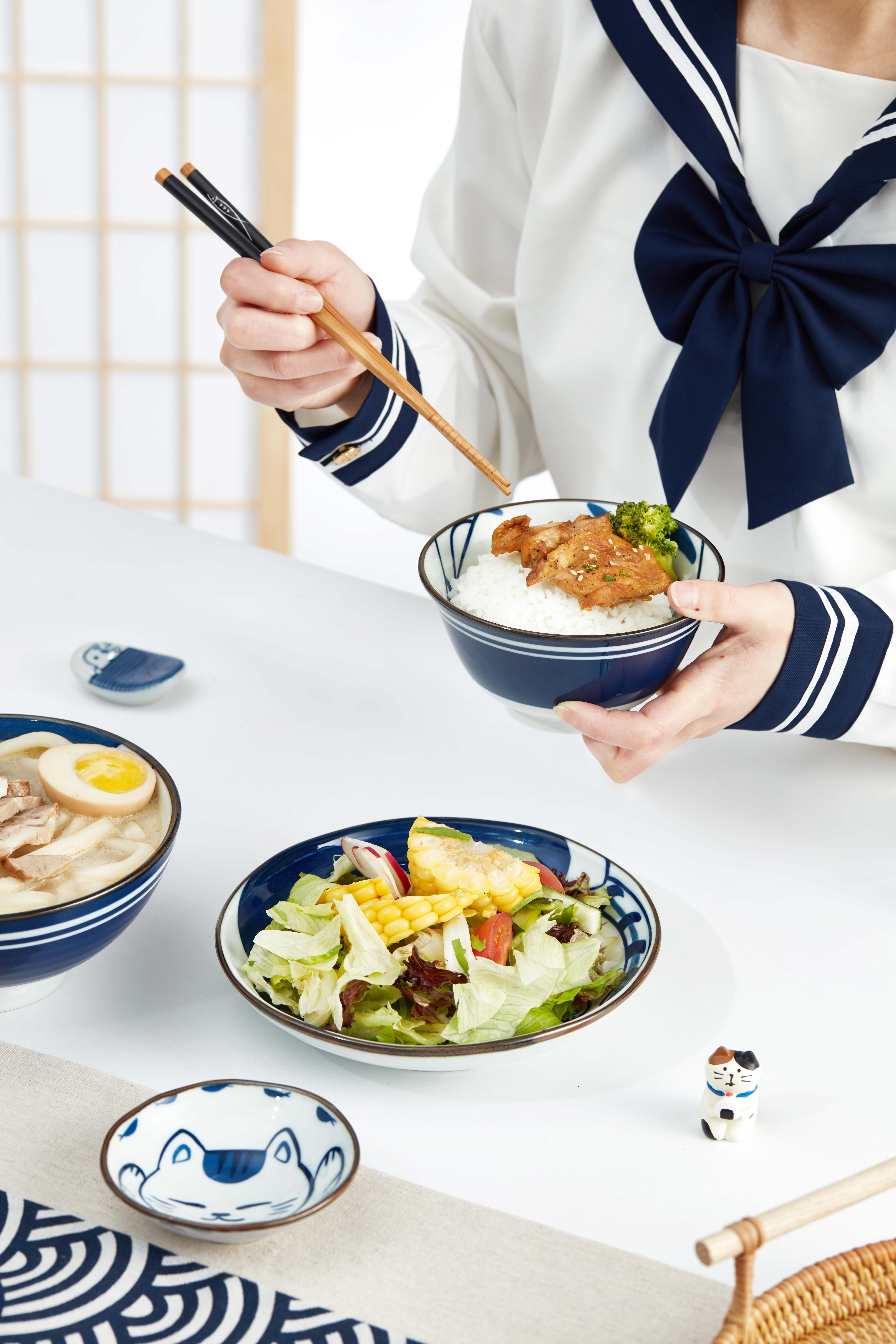 Best Blue Ceramic Stoneware Dinnerware Sets Gift Cat Plate Bowl Set Exquisite Gift