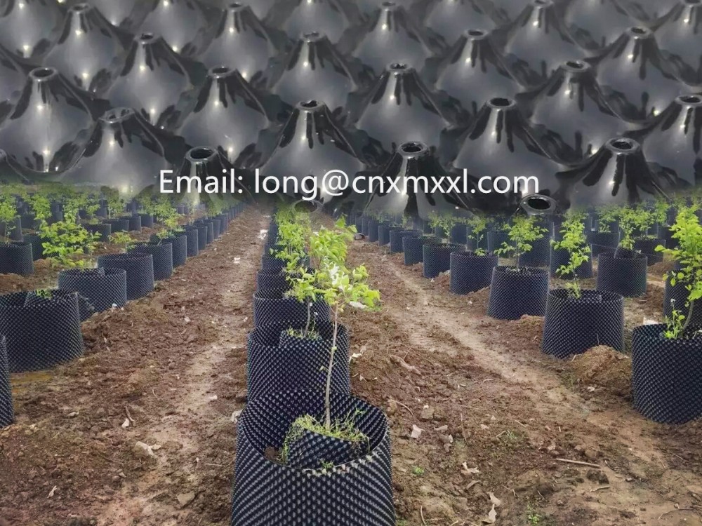 Black Tree 0.9mm PS Air Pruning Containers Hydroponic Plastic Air Root Pots