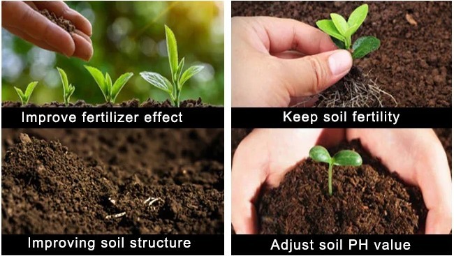 Agricultural Organic Water Soluble Fertilizer Humic Acid Liquid Npk