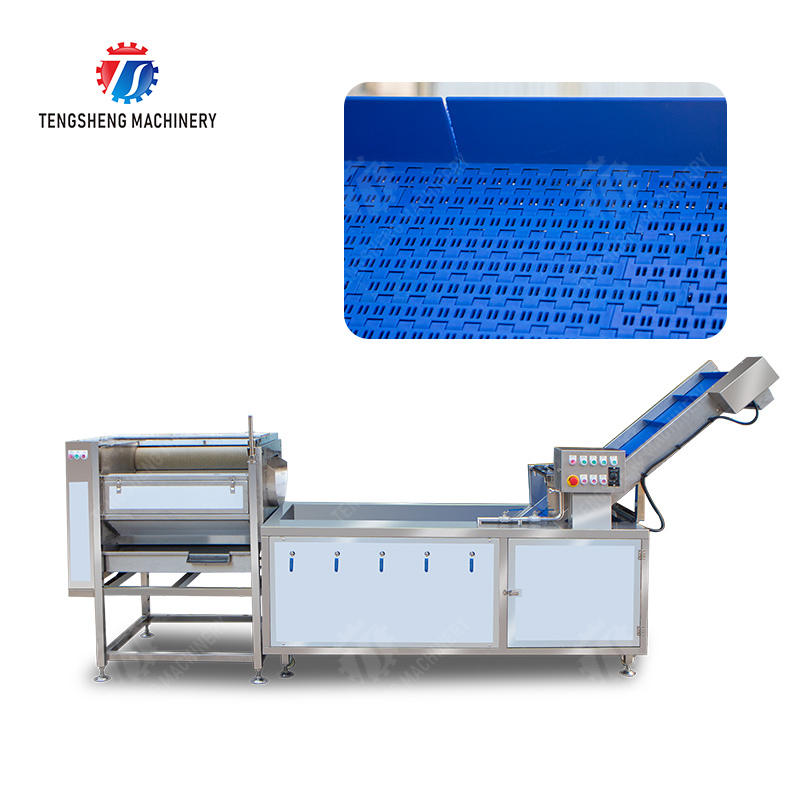 Citrus cleaning production line Fruit Orange Wash Washer Washing Cleaning Dryer