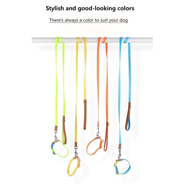 Anti Breakaway Dog Training Collars Safe Small Medium Sized Pet Collar