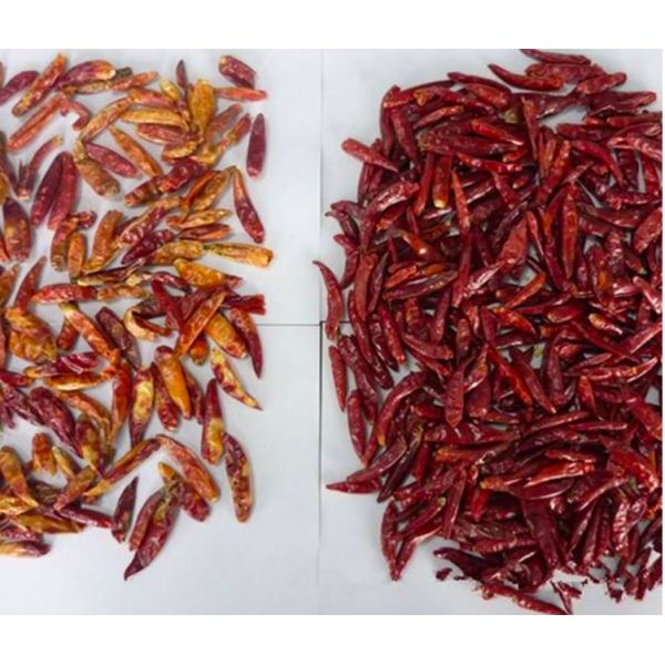 Customize Dry Red Pepper Sorting Machine 5400 Pixel CCD Sensor