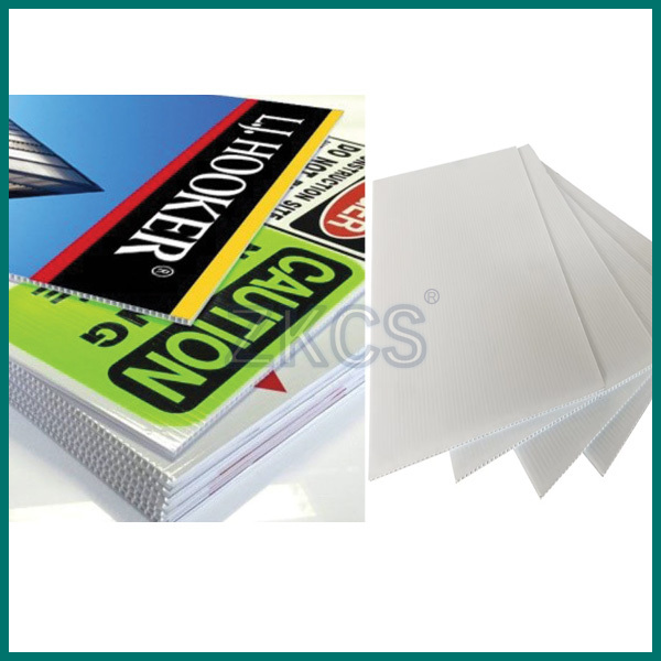 Durable and Lightweight PP Corrugated Sheet | Polypropylene Hollow Sheet for Packaging, Printing, and Construction