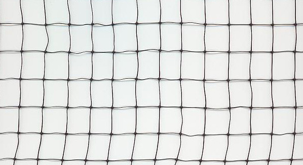 Quality Square Mesh Anti Bird Netting for sale