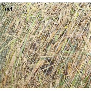 Quality 1.23x3000m Hay Bale Net Wrap Customized Net Wrap For Hay Baler for sale