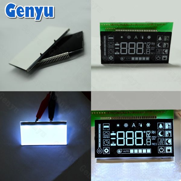 White LEDs Backlight Large VA Black Color Display Screen for Customized Monochrome Segment LCD in Monitor Controller Devices