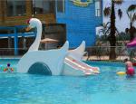 Swan Kids Water Slide Fiberglass Pool Slide Splash Pad Customized