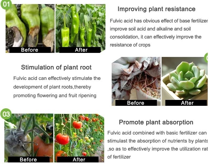 Agricultural Organic Water Soluble Fertilizer Humic Acid Liquid Npk