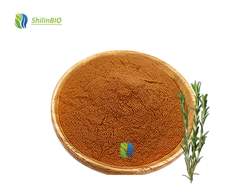 Rosmarinus Leaf Extract 5%-95% Rosmarinic Acid