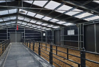Prefabricated Steel Structure Cowshed Sheep Shed Hot Roll Welding