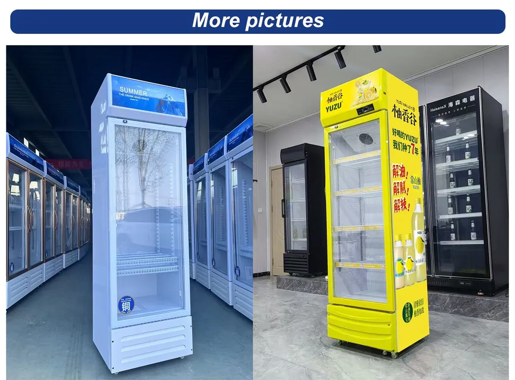 Customizable Display Drink Fridge Slim Narrow Restaurant Beverage Cooler