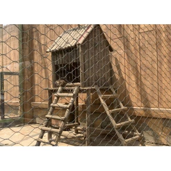 SS304 1.5mm 22mm Wire Rope Stainless Steel Cable Netting For Aviary Fencing