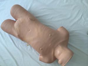 Quality Advanced Bone marrow puncture Clinical trial simulation , medical training models for sale