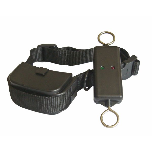 Efficient Remote Pet Training Collar , Leash-Walking Dog Training Device