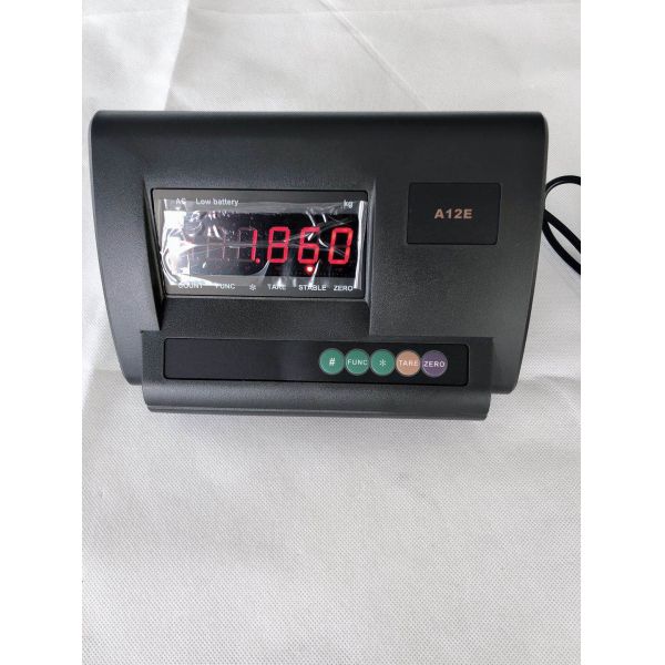 Industrial Electronic Balance Platform Floor Weighing Scales with Customized OBM Support and Carbon Steel