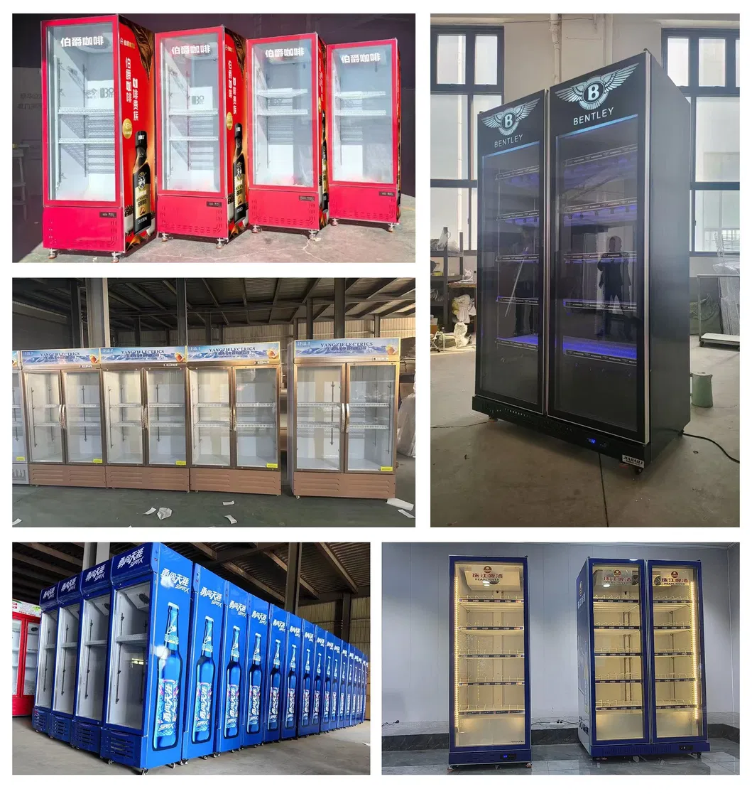 Customizable Display Drink Fridge Slim Narrow Restaurant Beverage Cooler