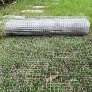 0.9mx50m Chicken Mesh Fence