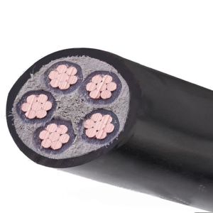 0.6/1KV Rated Voltage XLPE Insulation CU Power Cable for Temperature Application