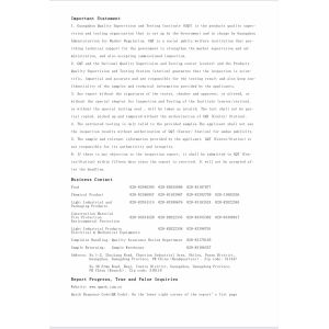 Wind And Snow Resistance Certification Artificial Ficus Tree