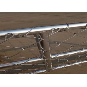 USA market popular 6x10ft Chain Link Fence