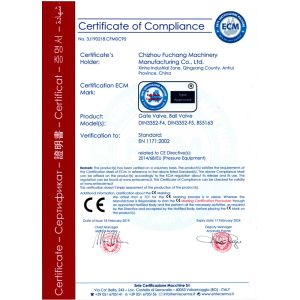 Chizhou Fuchang Machinery Manufacturing Co.,Ltd Certifications