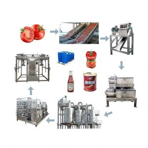 Automatic Tomato Processing Line Processing Capacity 5 Tons Per Hour Pasteurizat