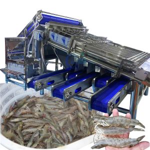 Industrial Prawn Sorting Machine Multiscene Waterproof Automatic