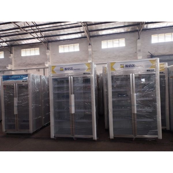 Custom Single Door Upright Cooler 4 Layers Commercial Beverage Cooler