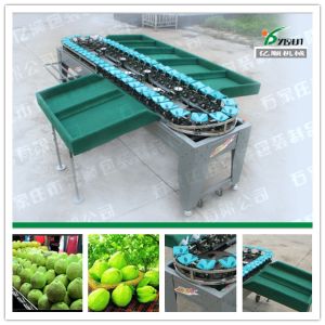 China Guava/Apple/Pear/Mango/Tomato/Potato weight grading machine on sale
