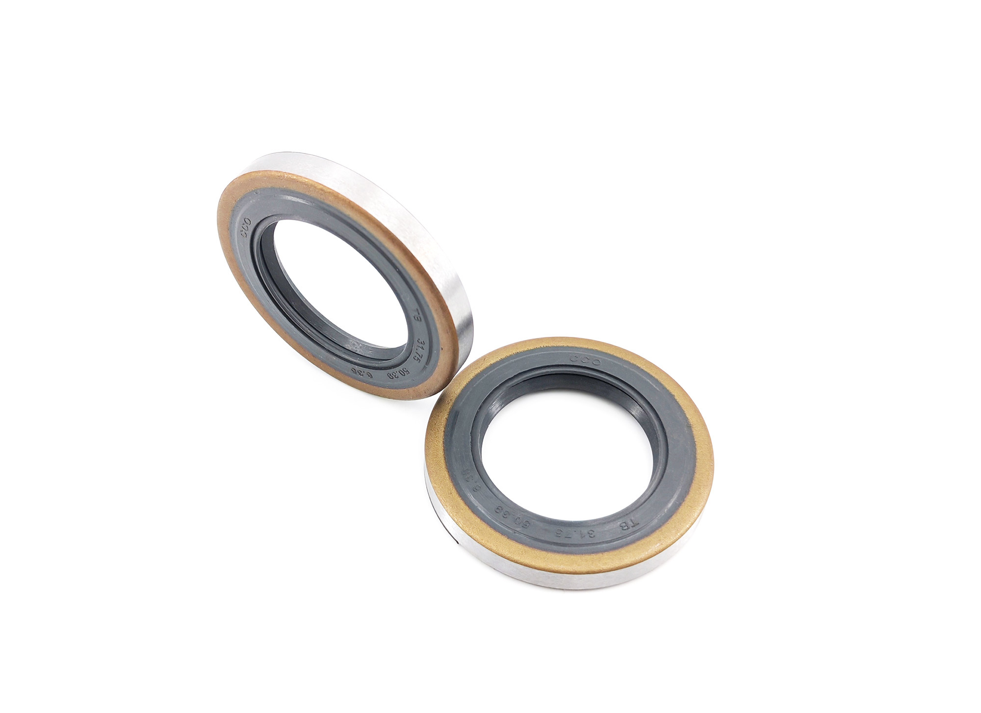 Large Size TB Type Ant Aging Dust Proof Skeleton Oil Seal