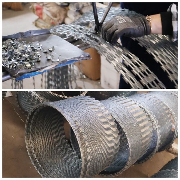 Galvanized 550mm 600mm Flat Security Fencing Razor Wire Concertina Barbed Wire Fencing