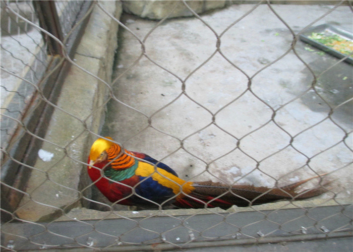 200x200mm Zoo Wire Mesh Animal Enclosure SS316 3.0mm