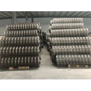 Factory Sale Various Welded Wire Mesh From Anping Iron Wire Mesh 2x2 Galvanized
