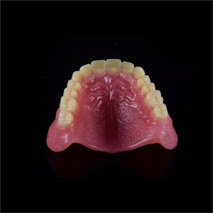 Removable Smile Full Acrylic Complete Denture Customizable
