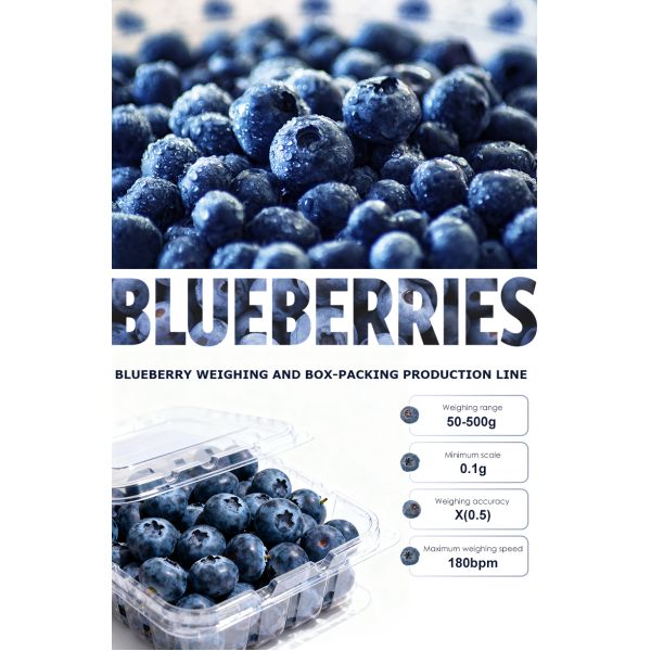 Automatic Fruit Punnet Packing Machine For Blueberry Strawberry Cherry Tomato
