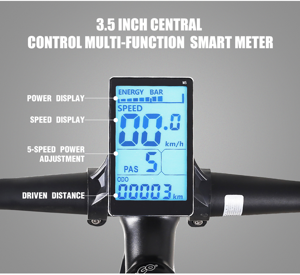 48V 1000W Motor Fat Tyre Electric Bicycles with 48V 17Ah Battery and Blue Screen Display