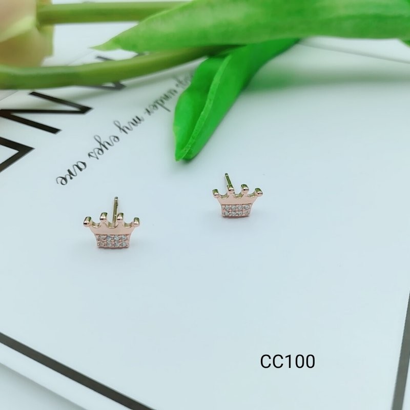 2018 New Style stud earrings Beautiful Silver Earrings For Women XW113