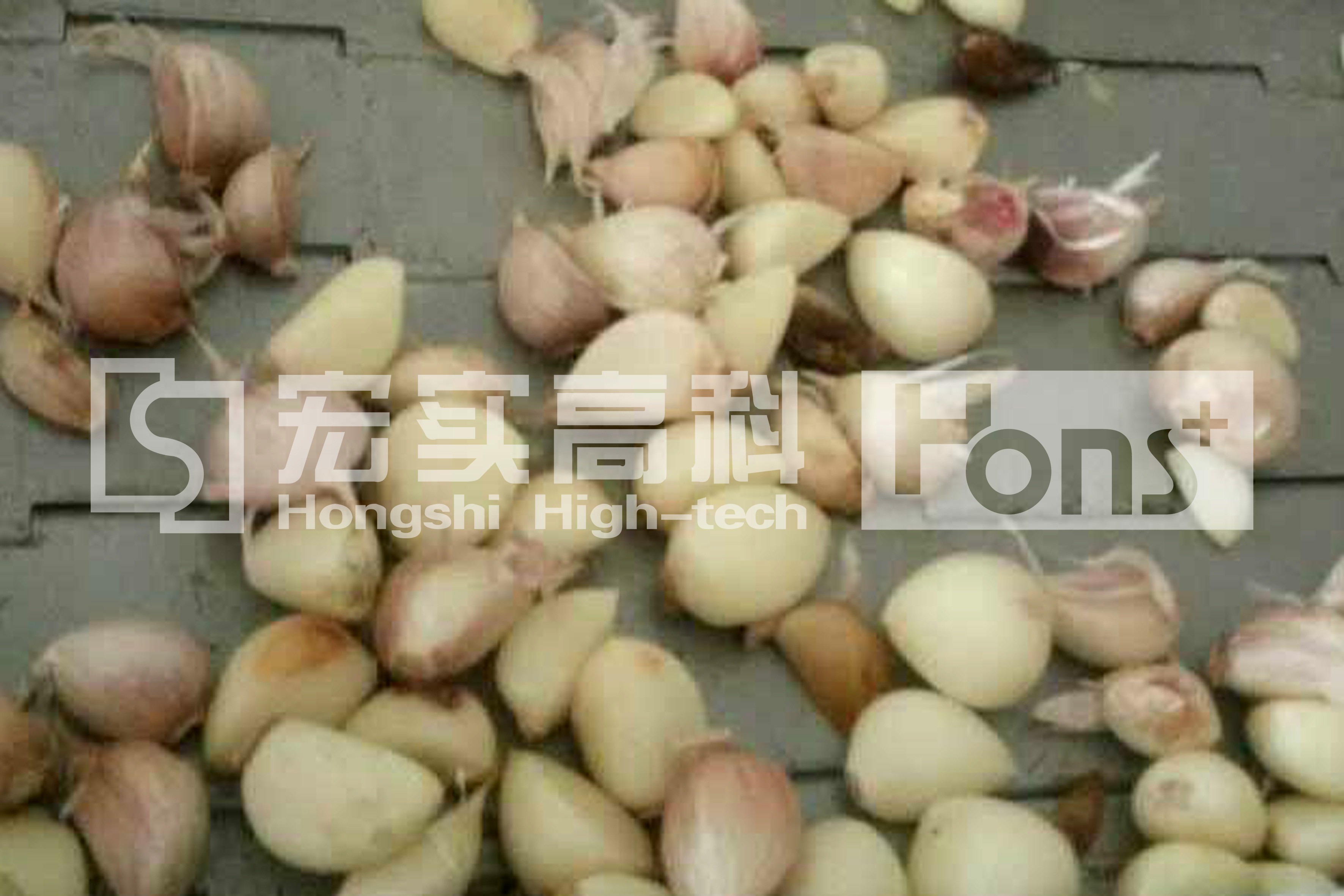 White Color Garlic CCD Color Sorter Grain Color Sorter Quintuple Chutes